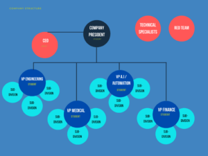 Example of a company structure